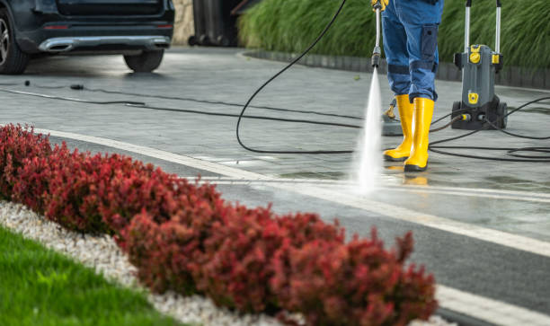 Deck Cleaning Services in St Louis Park, MN